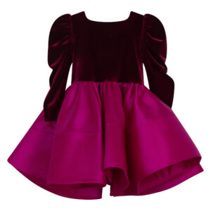 Velvet Rose Dress