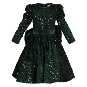 Royal Sequin Velvet Dress  - Deep green