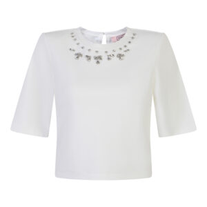 Crystal Neckline Top
